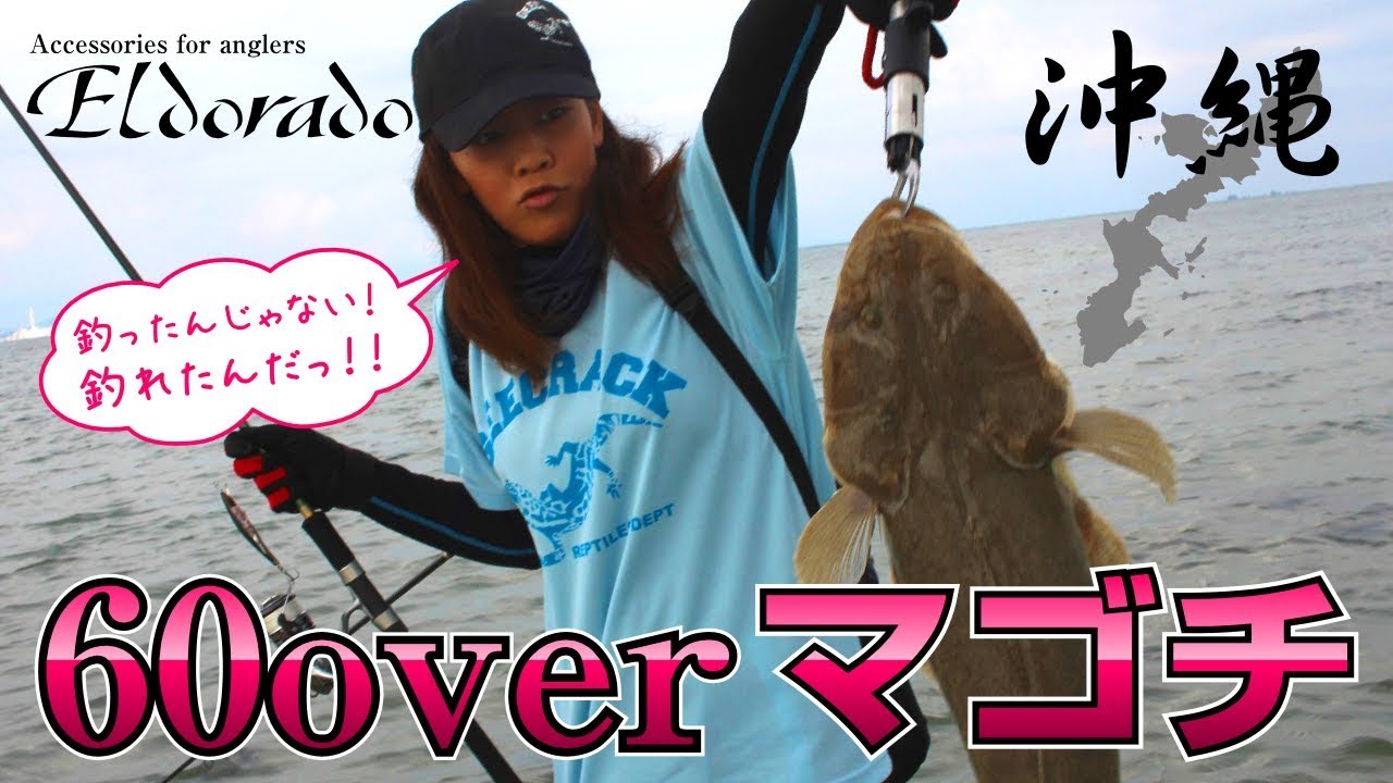 釣ったんじゃない！釣れたんだ！巨大マゴチ60オーバー