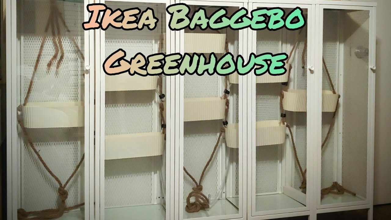 Ikea Greenhouse Cabinet 5 Baggebo Anthurium build with aquaponics auto self watering & humidity