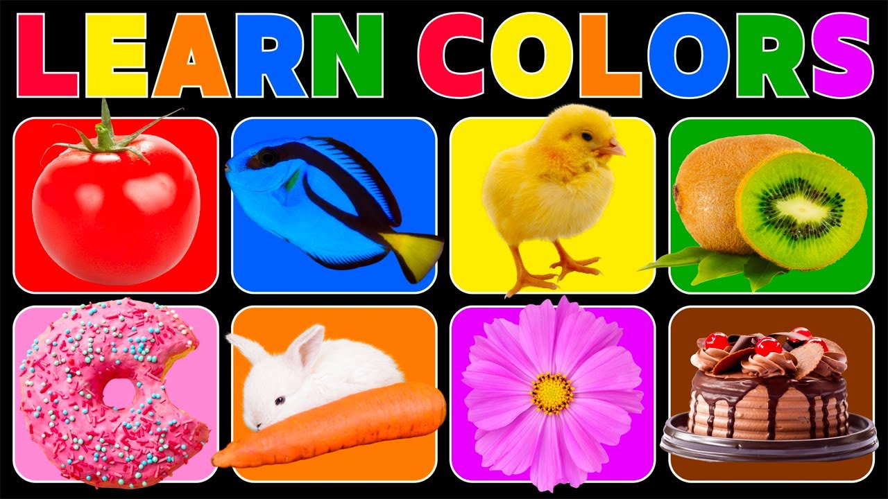 Learn Colors Song for Kids | Fun & Easy Color Learning with Animals, Nature, Fruits & More