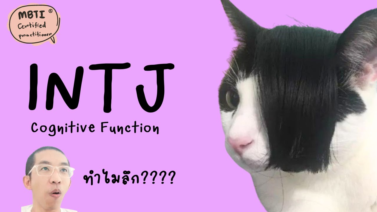 INTJ : Cognitive Function ฉบับเข้าใจง่าย : ilovetoday วันนี้ดีที่สุด MBTI® Certified Practitioner