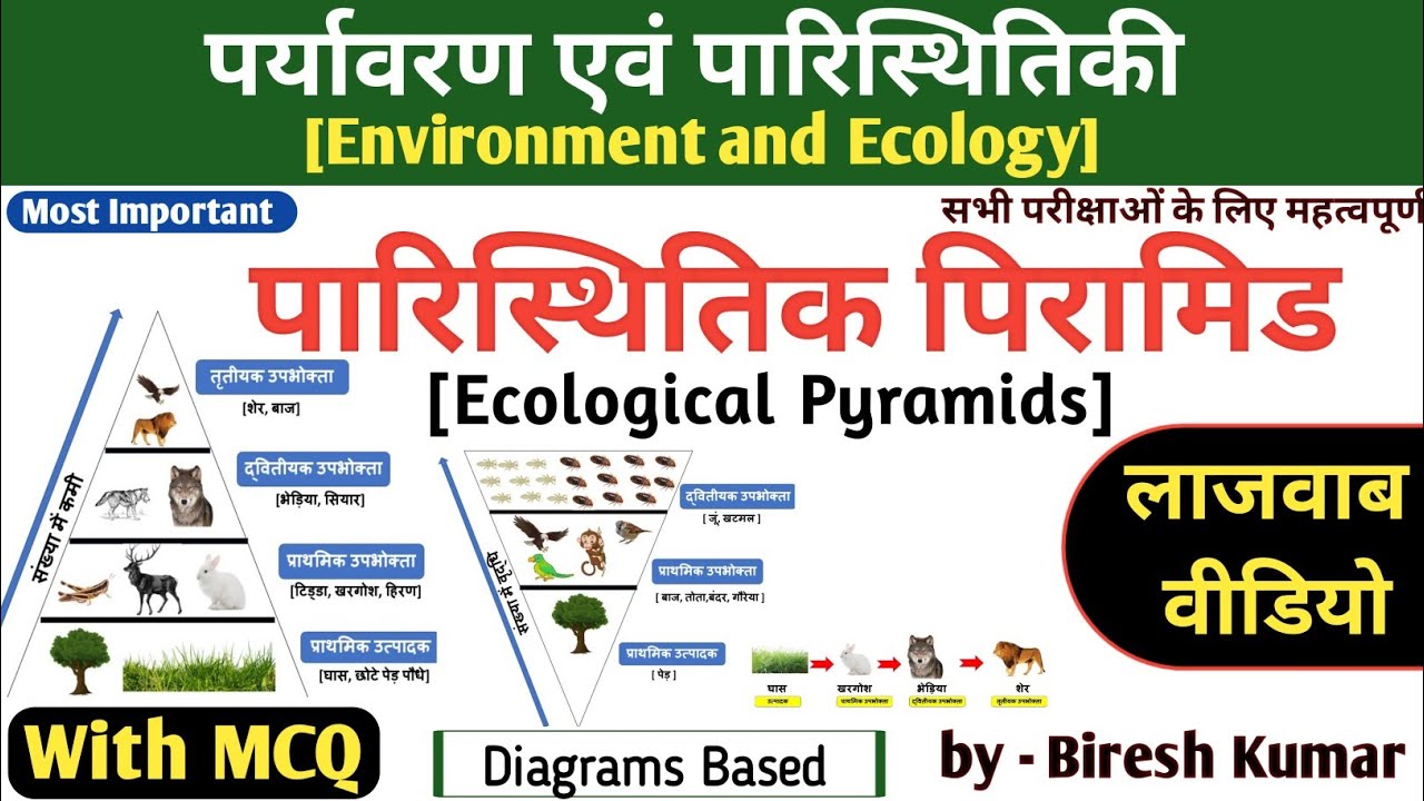 पारिस्थितिक पिरामिड (Ecological Pyramid)||10% का नियम||Ecology||Environment By Biresh Kumar