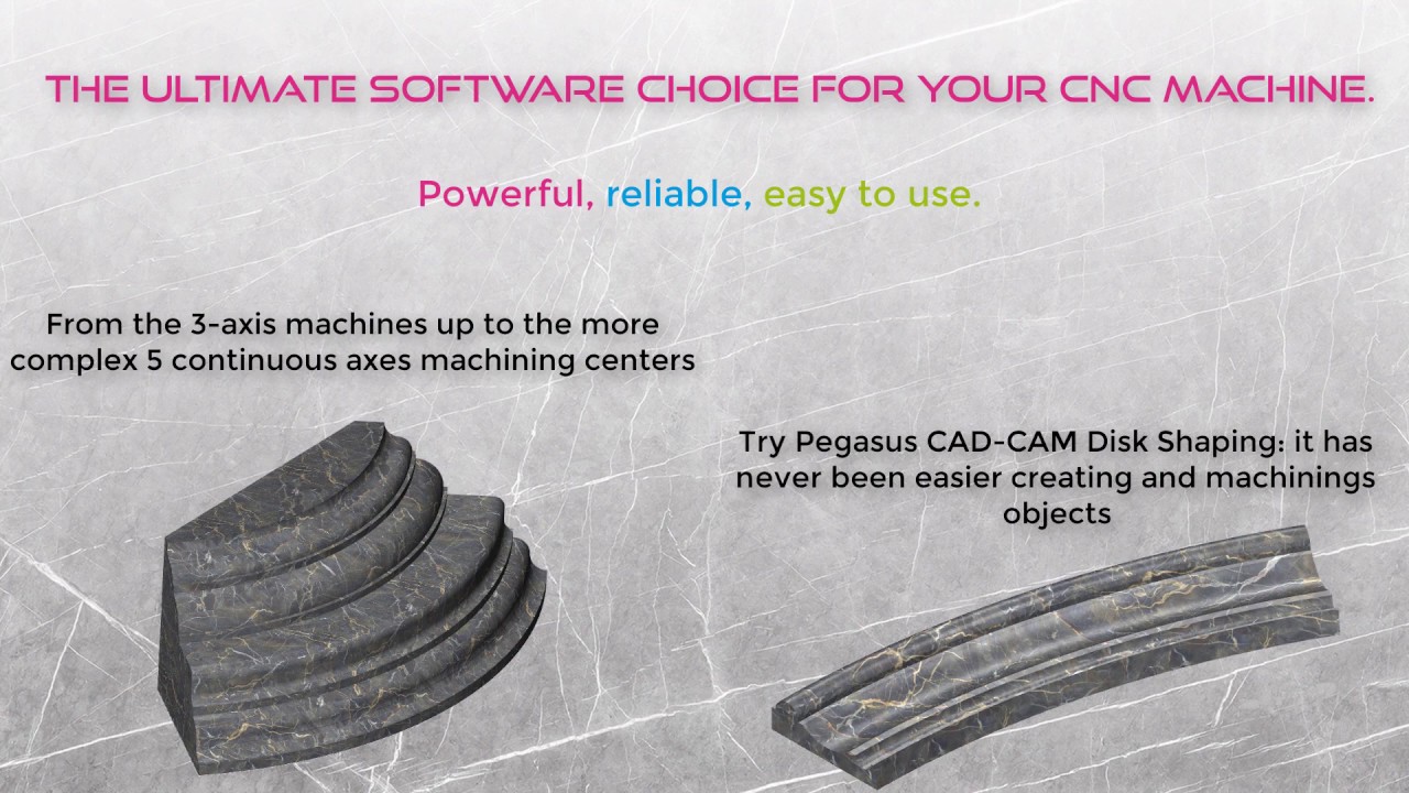 Pegasus CAD CAM   Disk Shaping