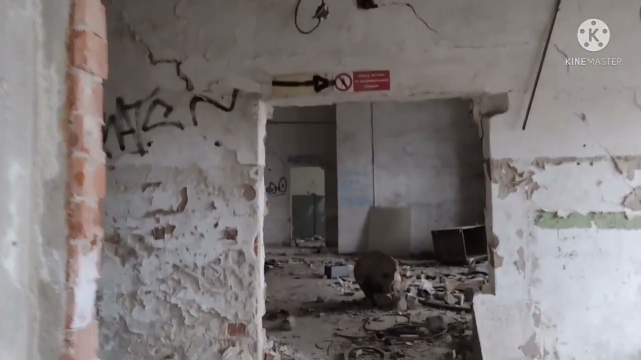 Opustená Drevona Pezinok Urbex Prieskum. #urbex #abandoned #pezinok