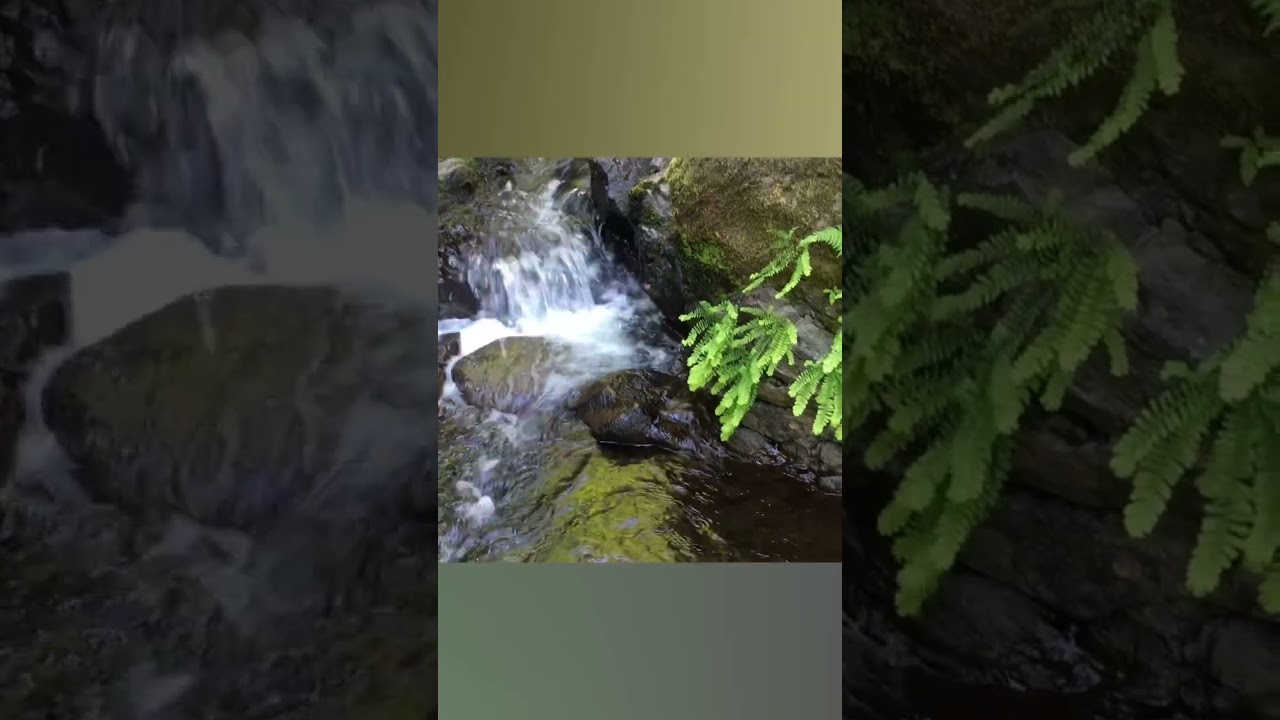 Marie canyon&hearts;️ near Duncan BC, Cowichan Valley, Vancouver Island, Canada