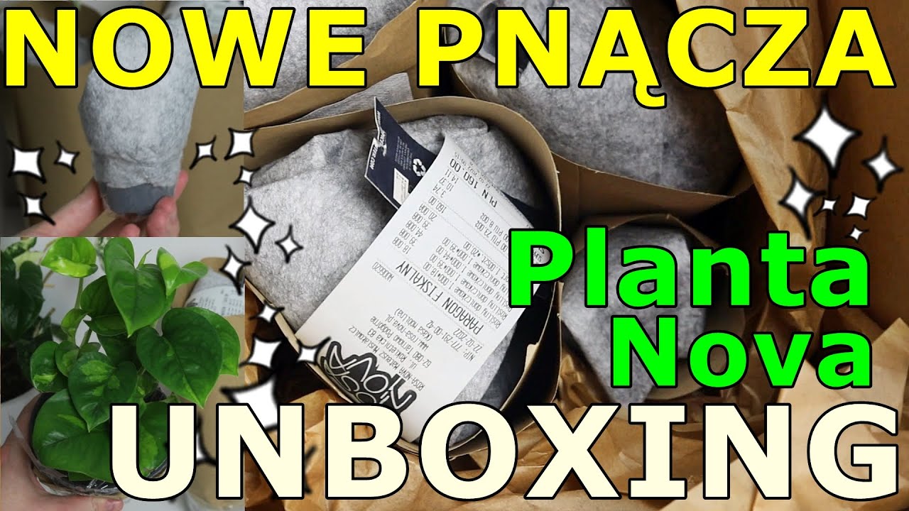 Nowe rośliny➜tym razem podaję ceny➜paczka z Planta Nowa #unboxing #planthaul #epipremnum #syngonium