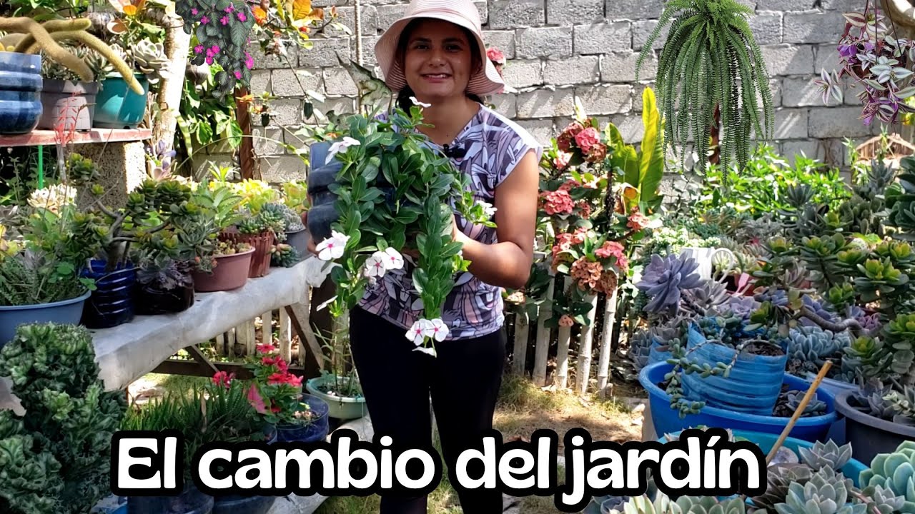 Las primeras lluvias transformaron el jardín | Antes y después increíble