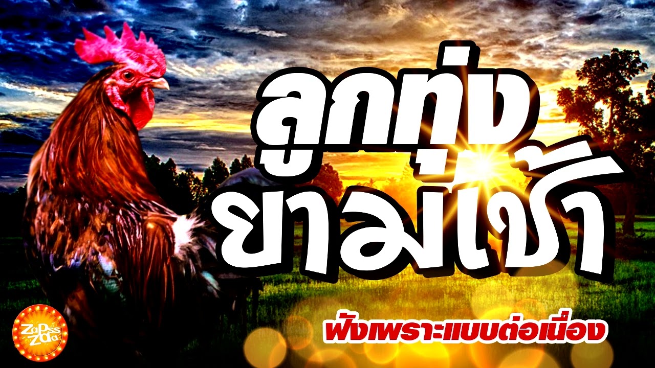 เพลงลูกทุ่งยามเช้า (คัดพิเศษ)  ฟังเพราะแบบต่อเนื่อง