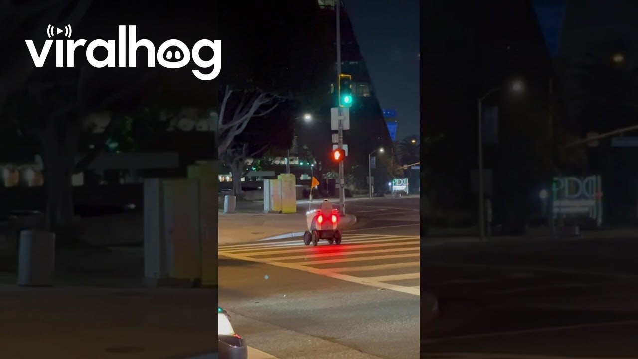 Autonomous Delivery Robot Crosses at Red Light in Los Angeles Intersection || ViralHog