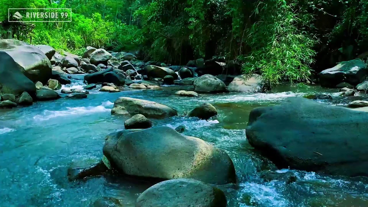 River Sounds for Sleeping Better | Natural Water Flow White Noise All Night Long