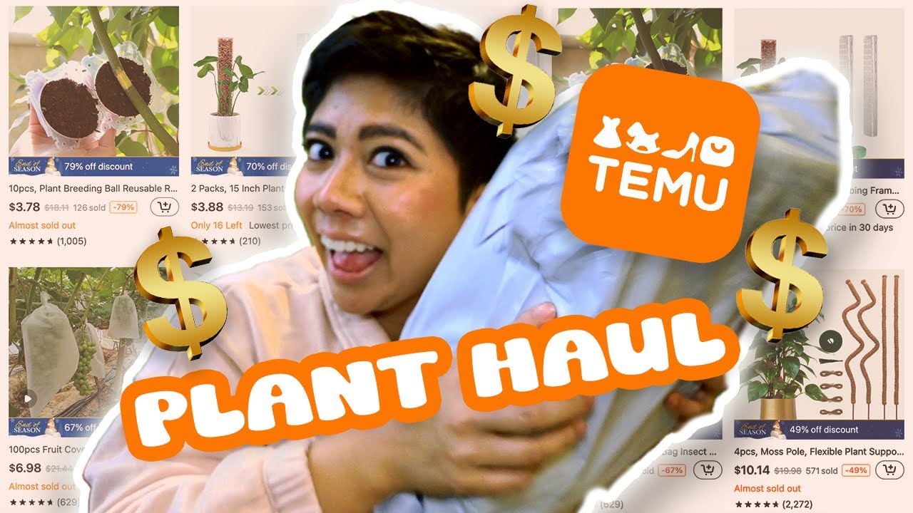 *CHEAP* TEMU plant haul | amazon BUDGET DUPES | honest Temu review