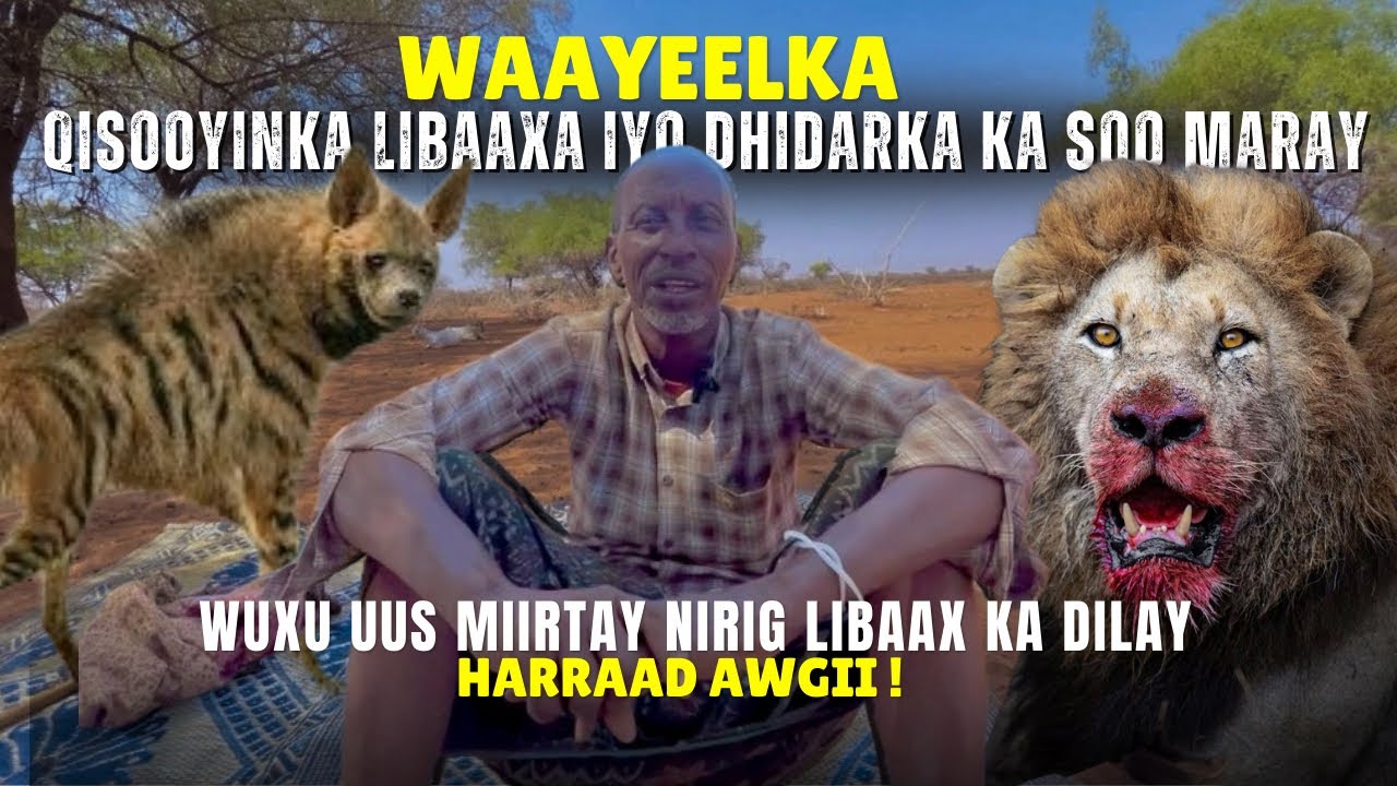 SHEEKO LIBAAX IYO DHIDAR || WAXA AAN UUS MIIRTAY NIRIG UU LIBAAX IGA DILAY AYUU YIDHI.