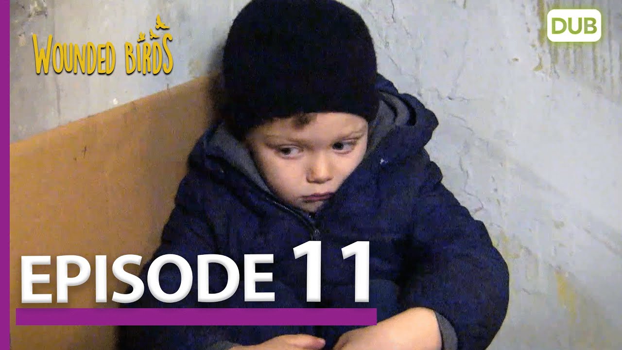 Wounded Birds Episode 11 - Urdu Dubbed | Turkish Drama