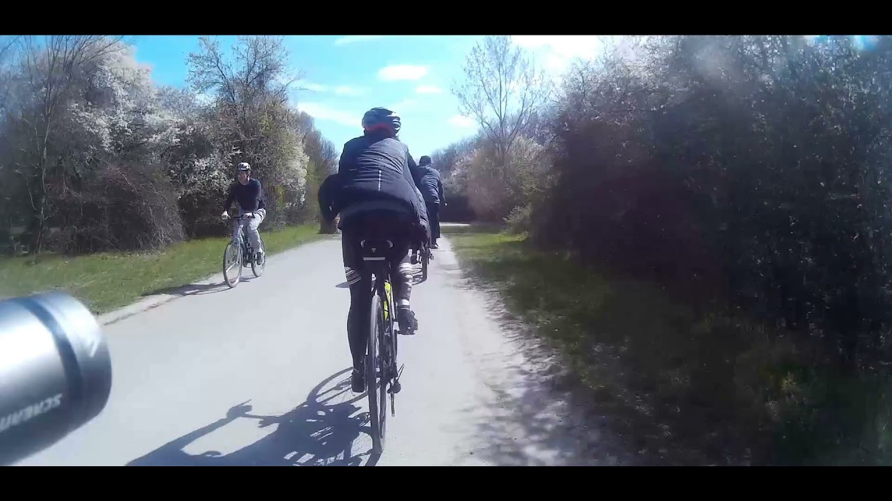 Bicycle tour in Vienna, part 2 - Donauinsel - Lobau