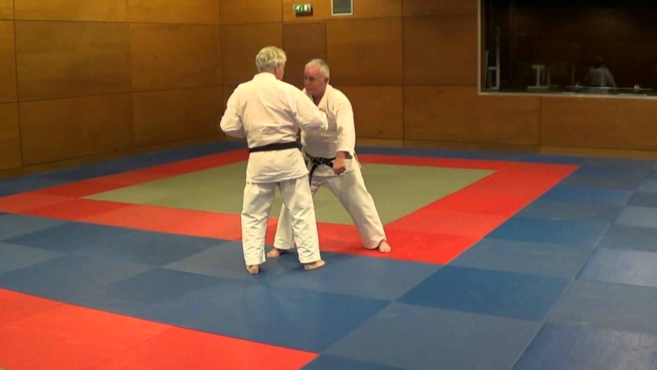 Bunkai kata stage den Haag