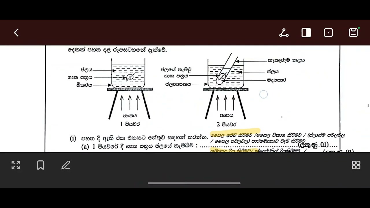 2 වන ප්‍රශ්නය සම්බන්ධ විශේෂ කරුනු..