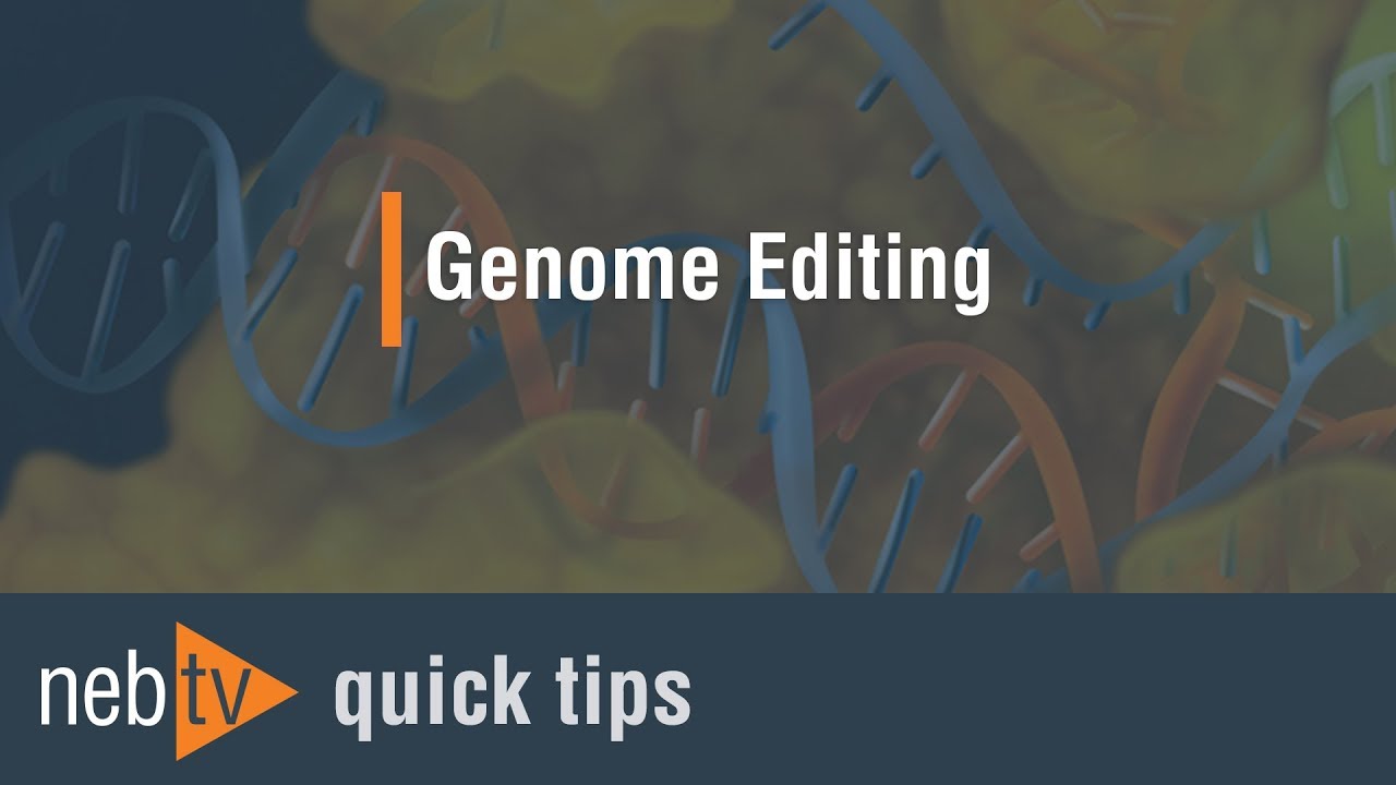 NEB TV Ep. 7 &ndash; Synthetic Biology/ CRISPR