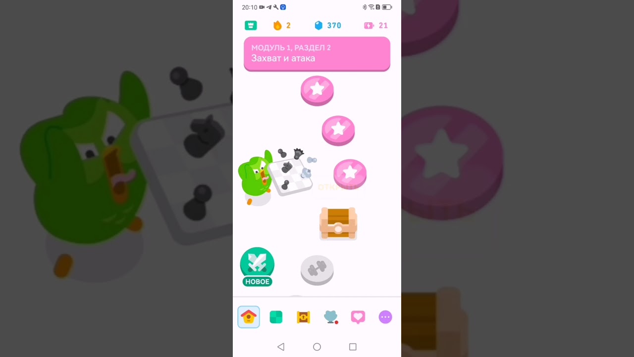 Duolingo!