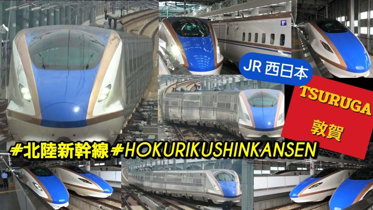 JR西日本 北陸新幹線 敦賀駅 / つるぎ かがやき はくたか 朝ラッシュ / 発車 接近 メロディー 放送 / W7系 E7系 初夏の 新幹線街道 2025年6月