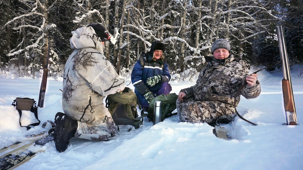 ЗИМНИЙ ПОХОД В ЛЕС / ИЩЕМ СТАЮ 