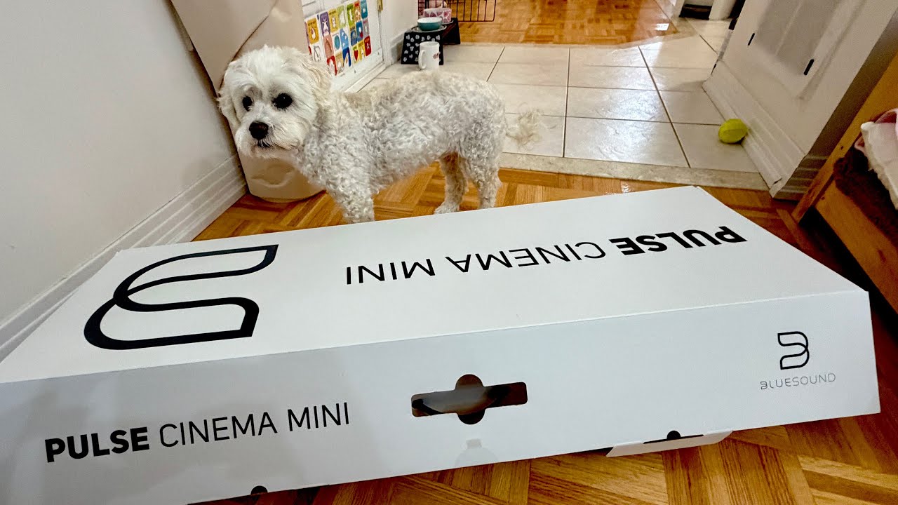 Bluesound Pulse Cinema Mini с Dirac Live