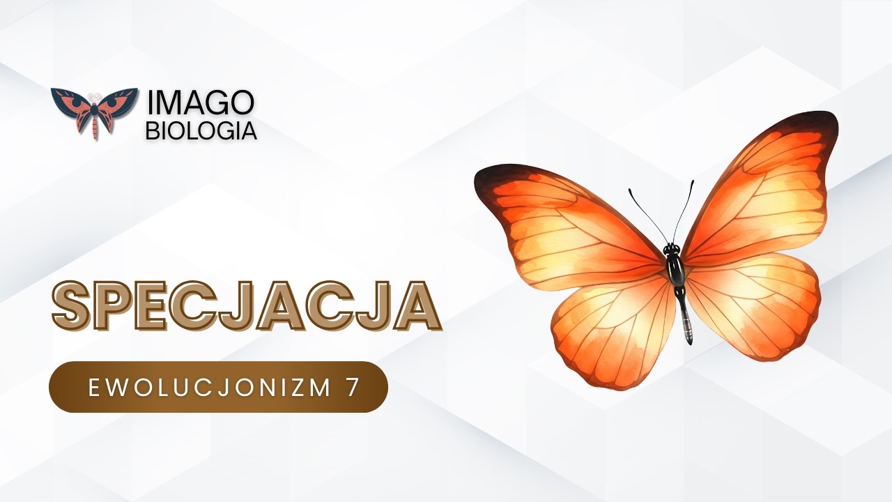 Specjacja