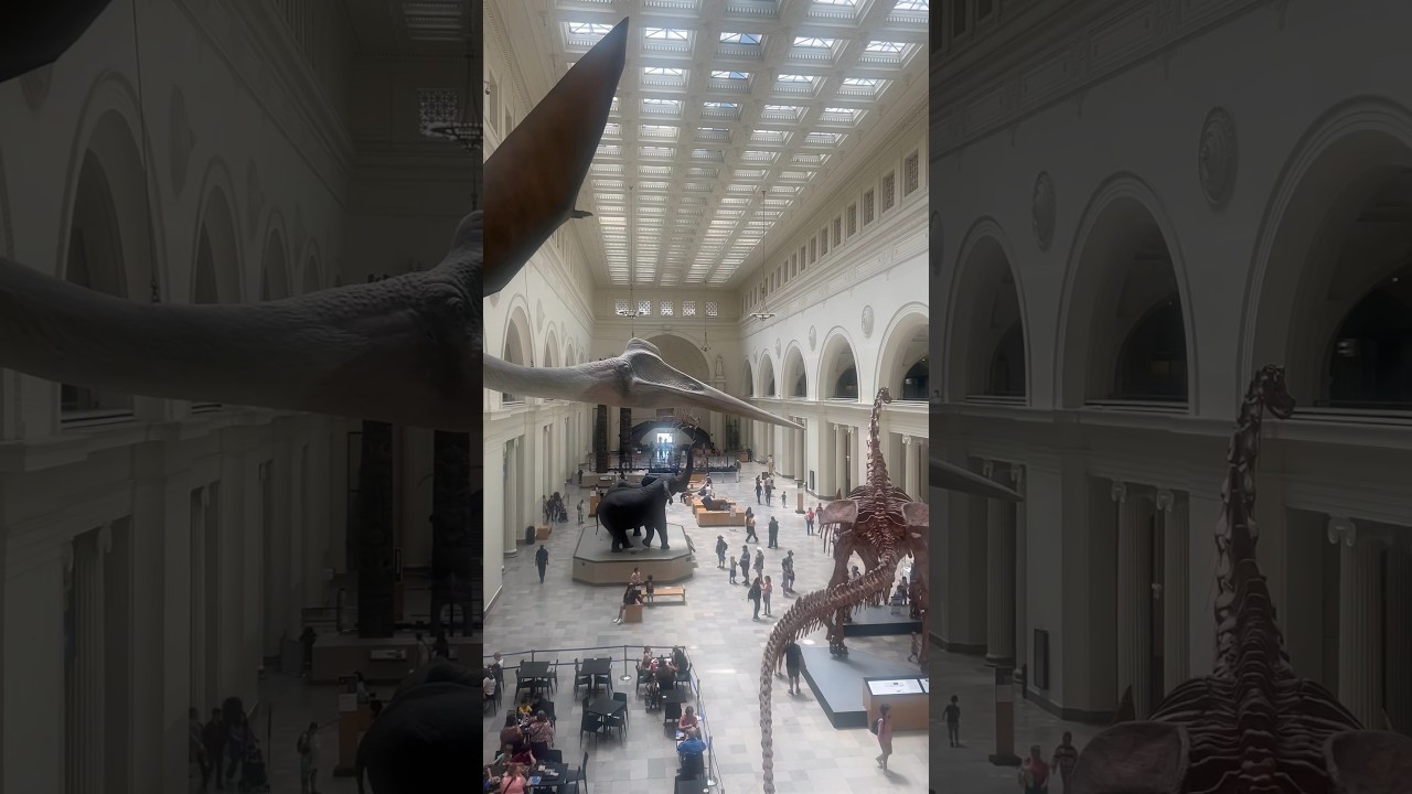 Museum type of day. #FieldMuseum
