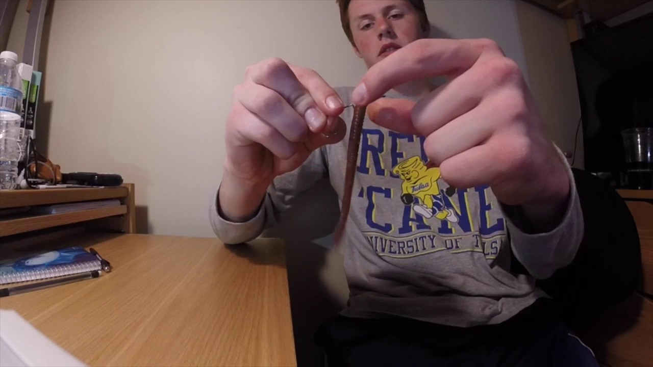 How To Rig A Slider Head Worm