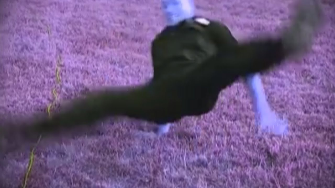 When Jamie's Theme Comes On