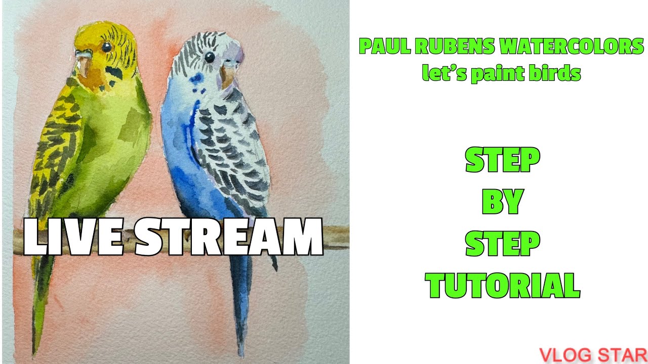 lets paint birds with paul rubens watercolors