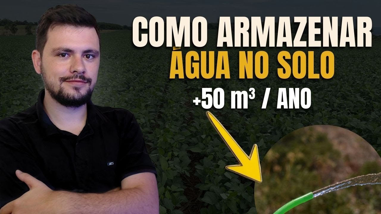 Como ARMAZENAR ÁGUA no solo através dessa técnica conservacionista