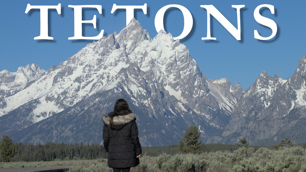 1 Day in GRAND TETON National Park (4 Grizzly Bears!)
