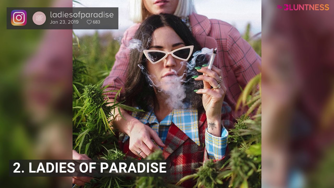 Collective Cannabis Influencers
