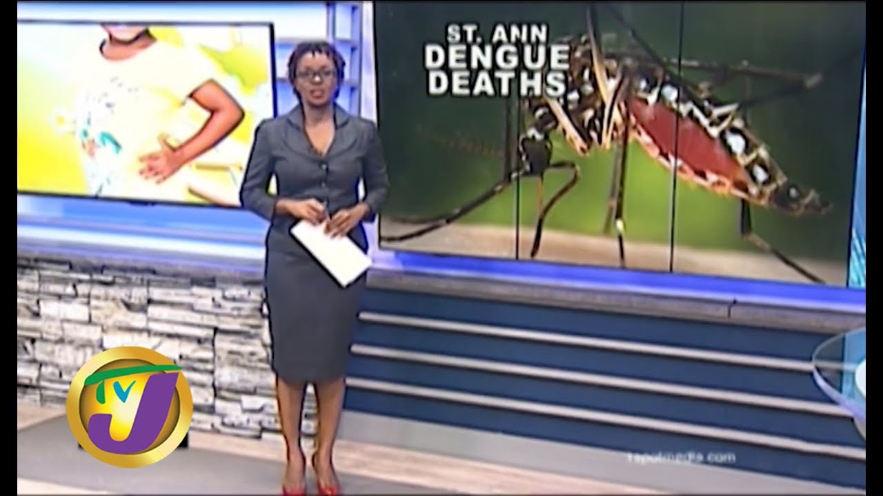 TVJ News: St. Ann Dengue Deaths - October 14 2019