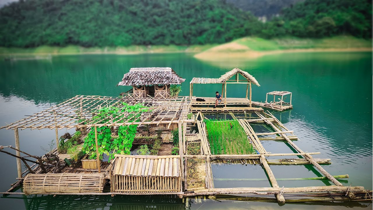Genius Guy Survival, Build a super shelter on the river, make fish cages, and survive in the wild