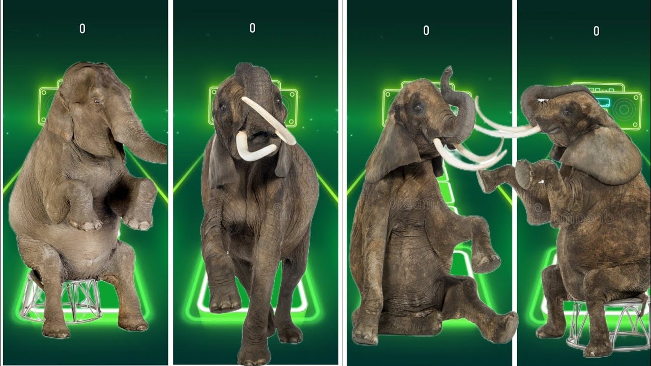 Tiles Hop - Mammoth🆚 Elephant 🆚 Funny Mammoth 🆚 Funny Elephant 🎶 Tiles Hop EDM Rush