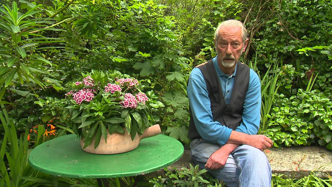 Jardin de Normandie : jardin en hommage à Jacques Prévert