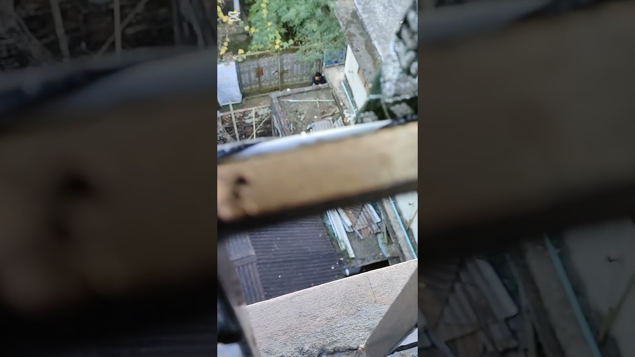 বাড়ি থেকে পালিয়ে আসার মজা এবার বুঝ!!  দুই ঘন্টা ধরে গলিতে ঝগড়া করছে