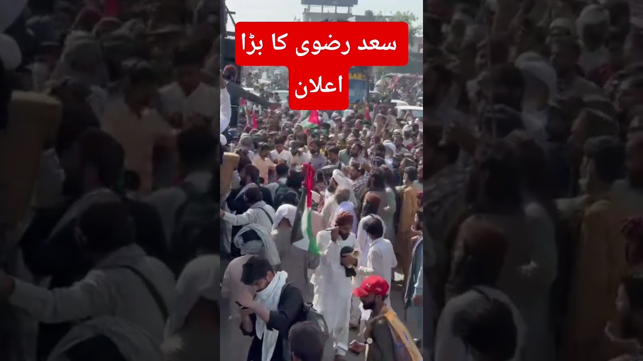 🔴 live tlp update | TLP NEW Update | TLP LonG march #tlp #tlpdharna #tlptrend #dharna #saadrizvi