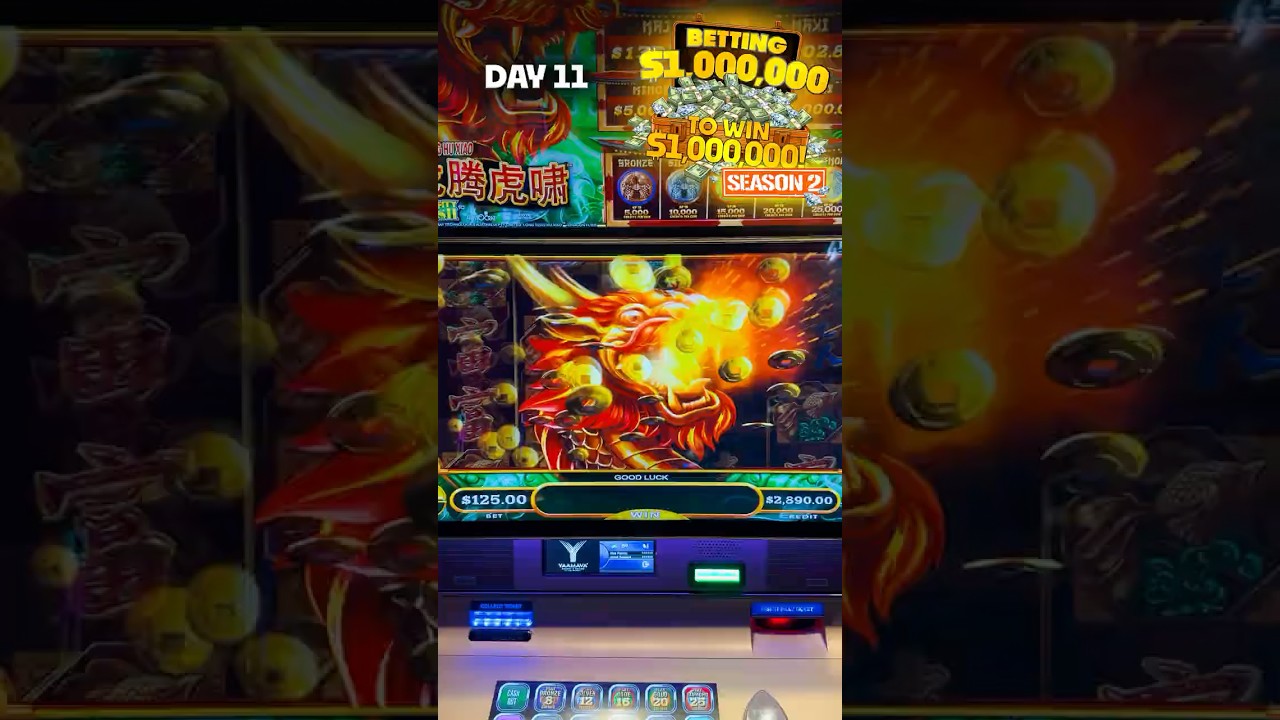 Dzień 11 😅 Największy możliwy zakład na Mighty Cash | Sezon 2