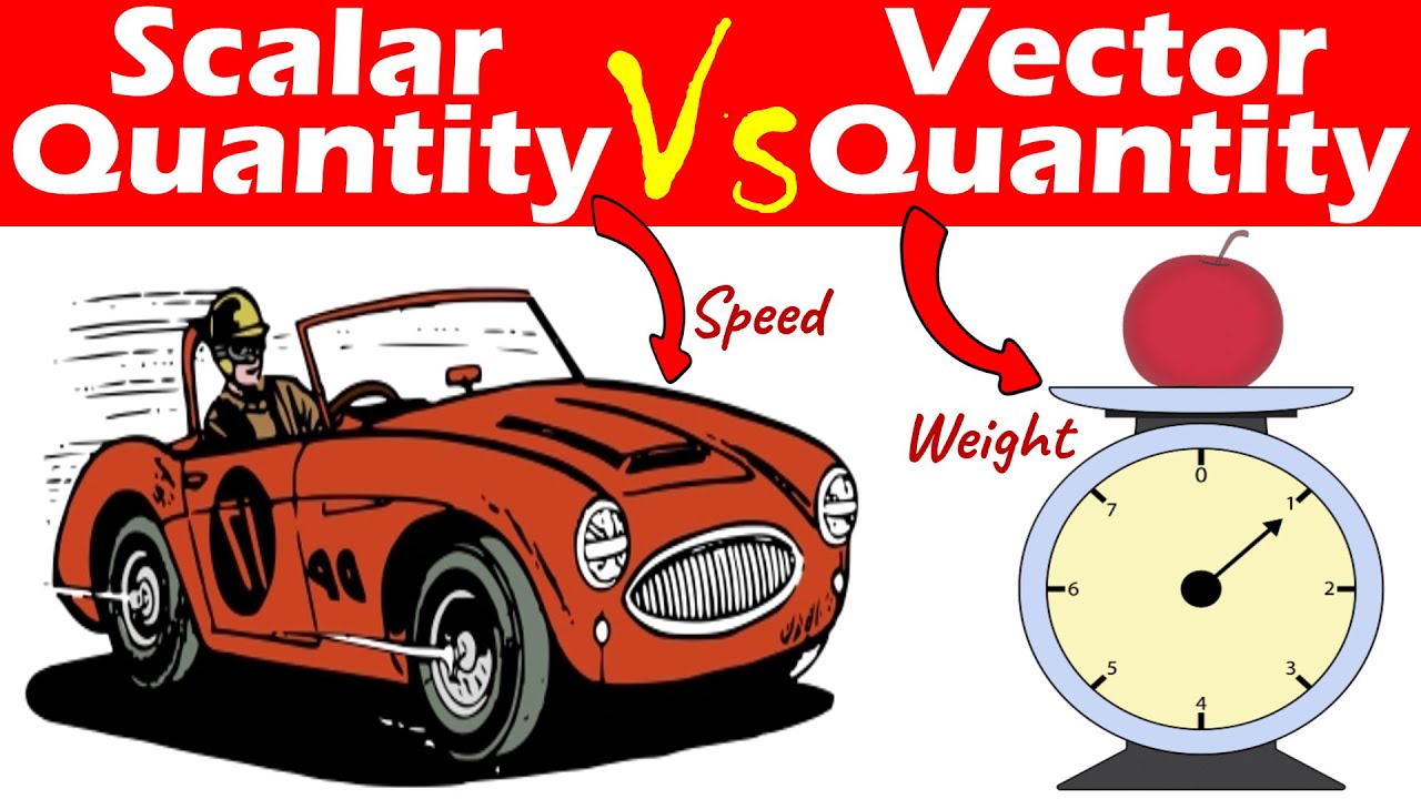 Differences between Scalar Quantity and Vector Quantity.