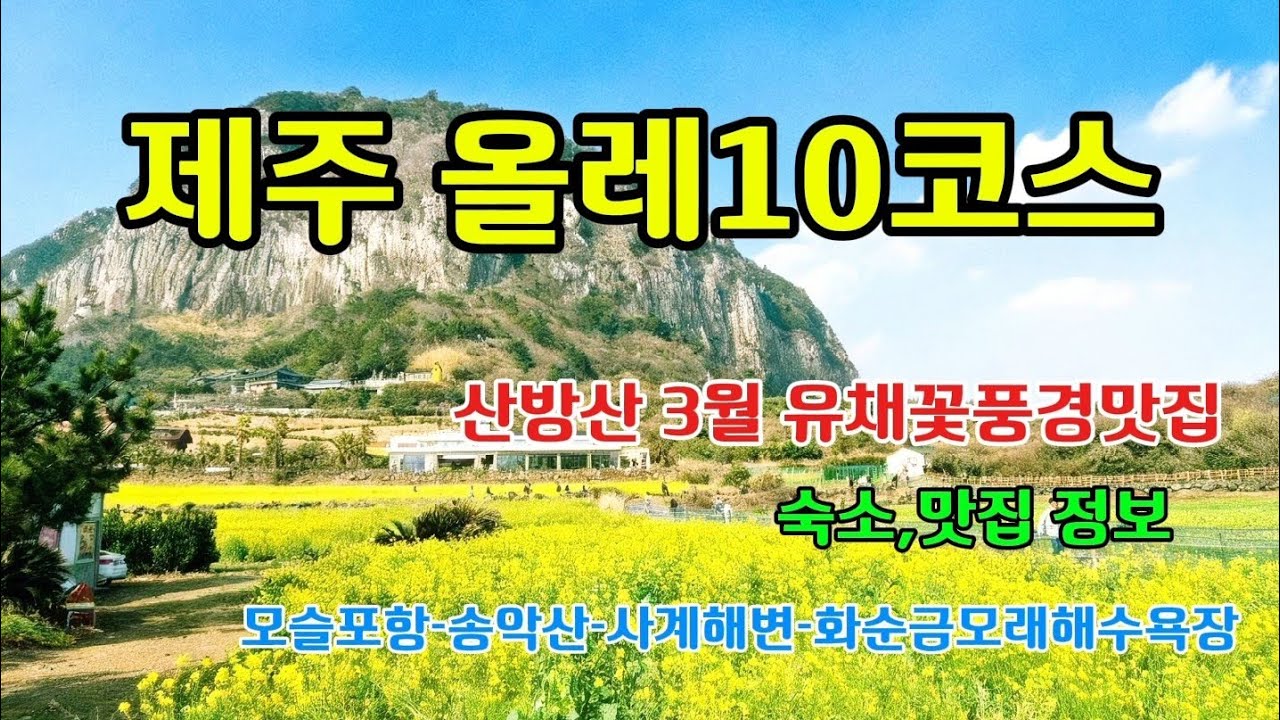 🇰🇷✈️👣제주 유채꽃풍경맛집은 이곳입니다.