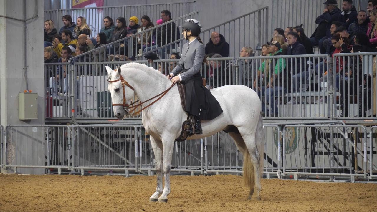 Fieracavalli 125: per la prima volta percorsi separati per gli equini: 