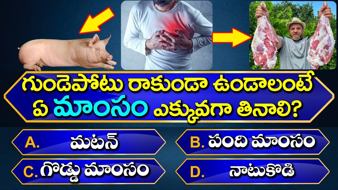 Interesting Questions In Telugu I| Episode-131 || Unknown Facts || GeneralKnowledge ||Telugu Quiz