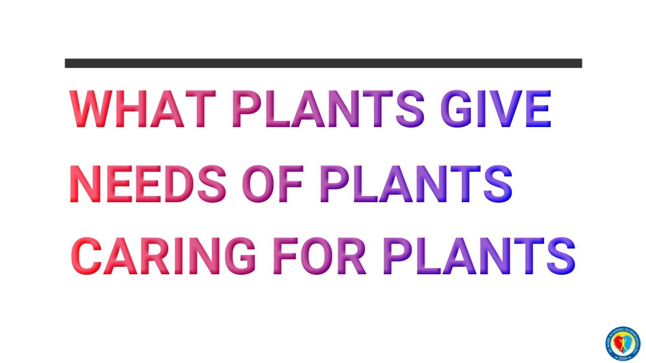 WHAT PLANTS GIVE, NEEDS OF PLANTS, AND CARING FOR PLANTS