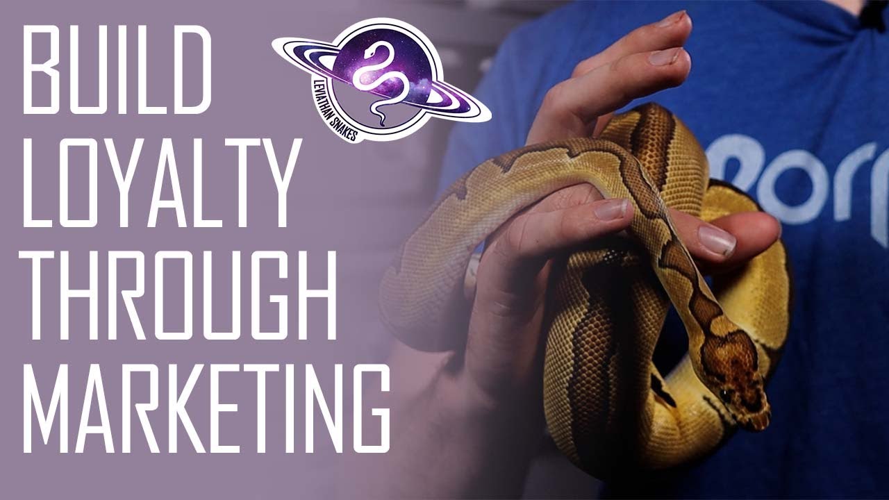 Ball Python Business | Build Loyalty Through Marketing
