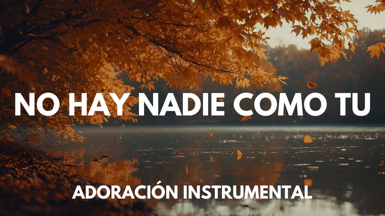 No hay nadie como tu | Descansando en Su Presencia | Música Instrumental Worship