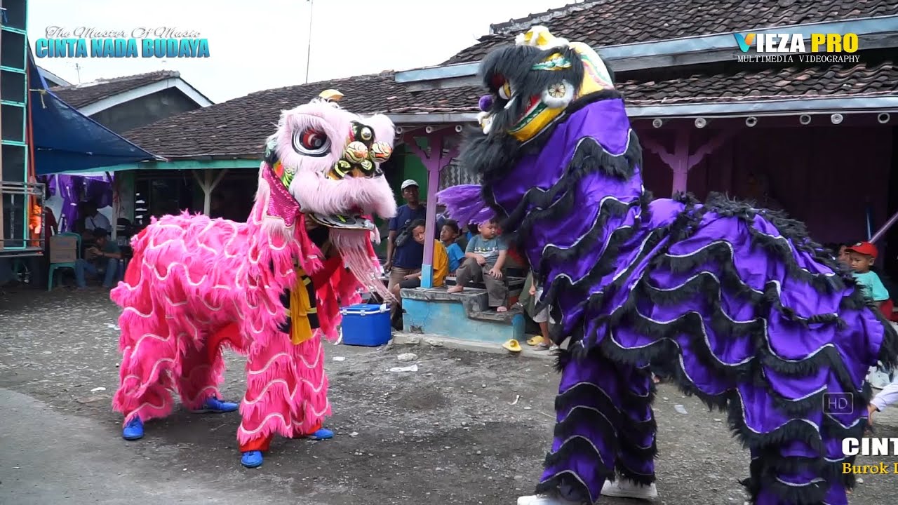 BARONGSAI (GOYANG LAGEDAY) | BUROK DANGDUT CINTA NADA BUDAYA SHOW DUKUH WANGON 18/06/2025