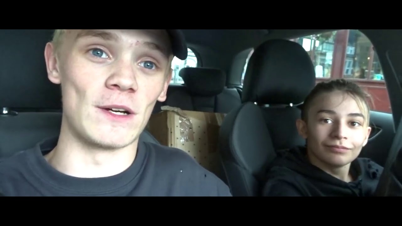 Bars and Melody - Scream
