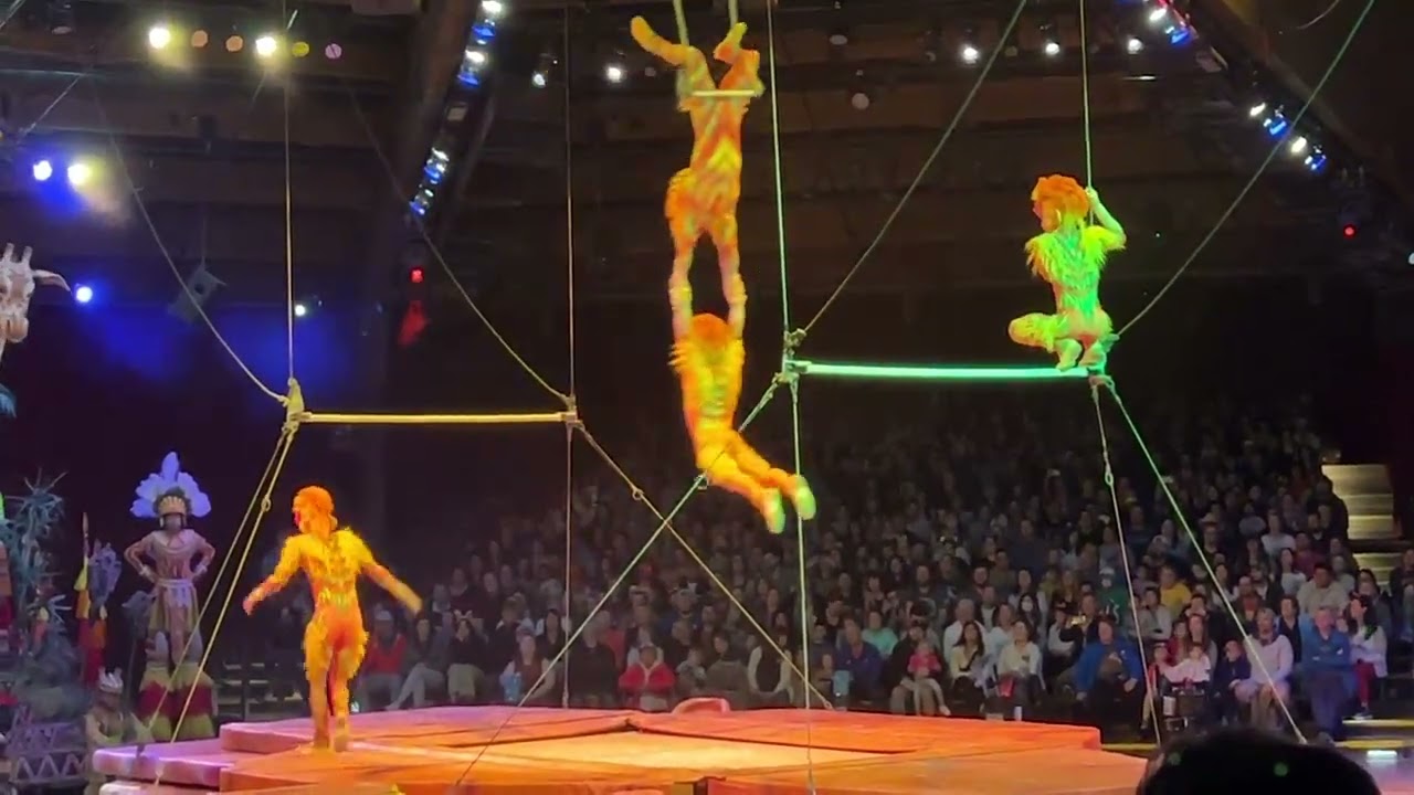 Live Video - The Festival of the Lion King at Disney’s Animal Kingdom