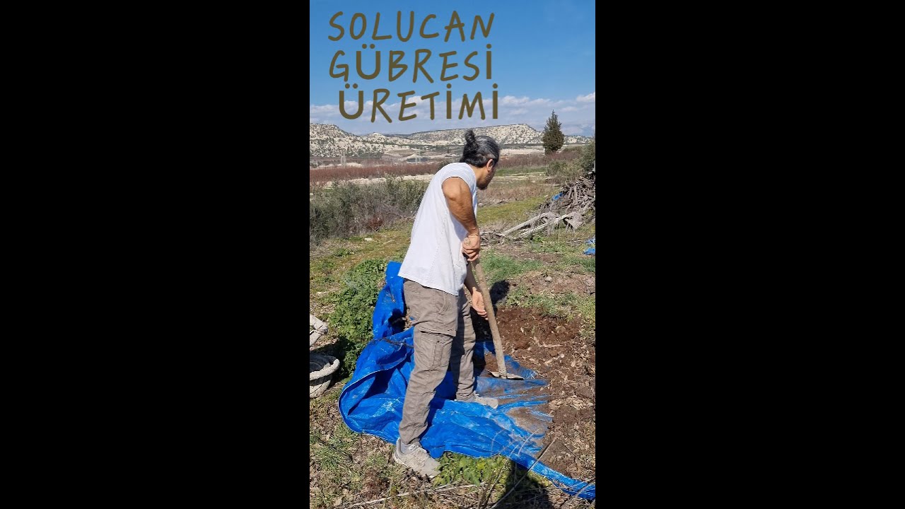 solucan gübresi yapım süreci